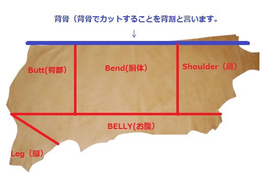 革の基本的知識 - Himeji Tortal Leather Expert’s blog