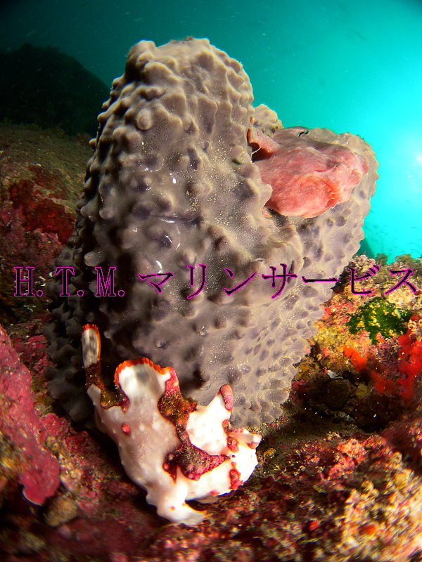 イメージ 3