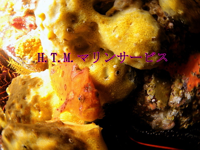 イメージ 2