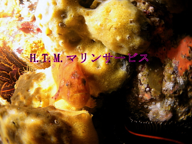 イメージ 3