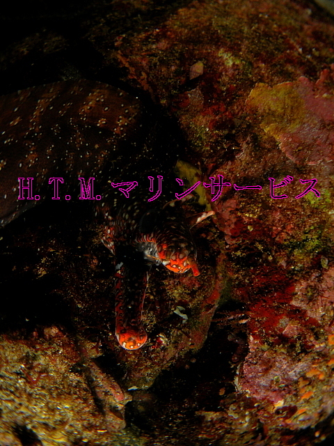 イメージ 3