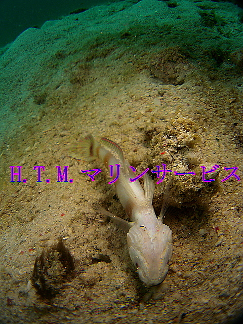 イメージ 2