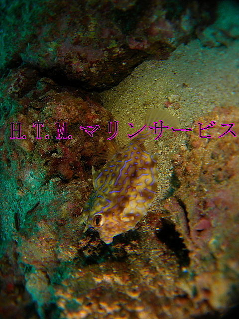 イメージ 2