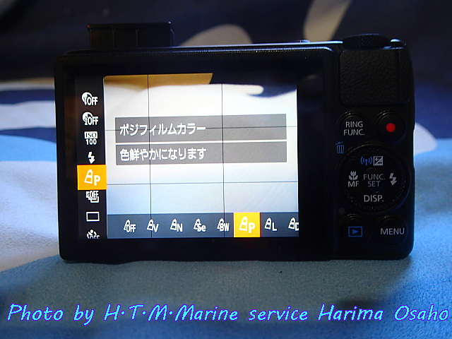 イメージ 7