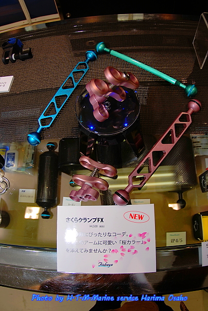 イメージ 3