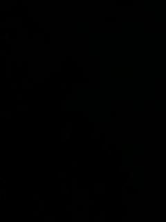 イメージ 8