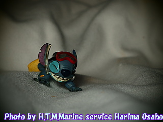 イメージ 8