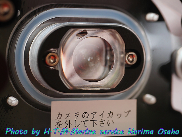 イメージ 5