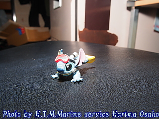 イメージ 12
