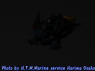 イメージ 4