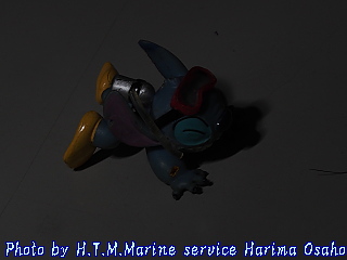 イメージ 9