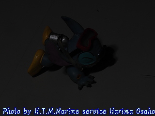 イメージ 10