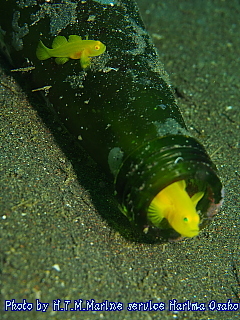 イメージ 8
