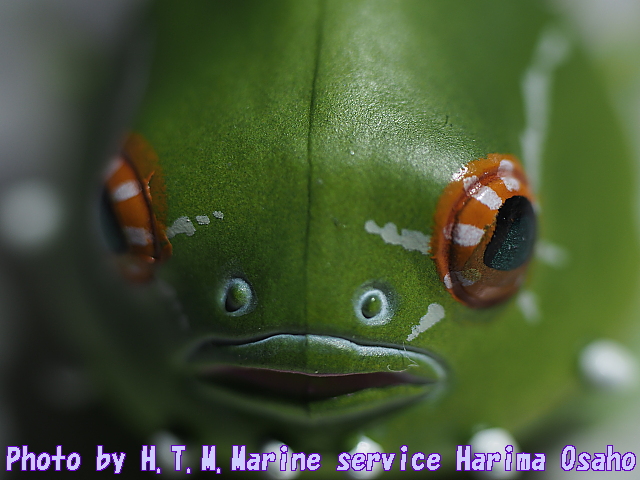 イメージ 1