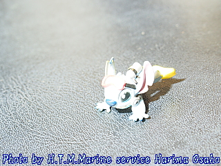 イメージ 6