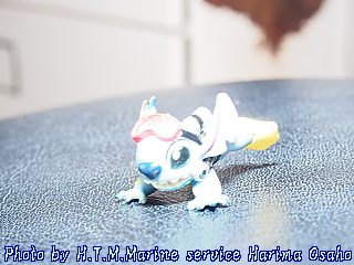 イメージ 11