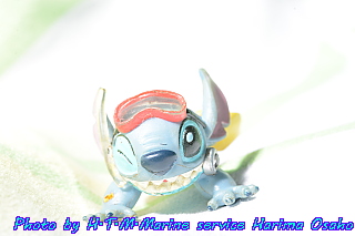 イメージ 13