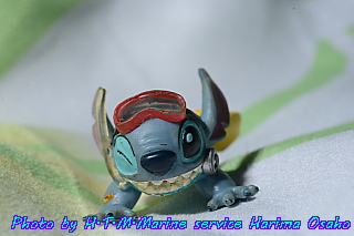 イメージ 3
