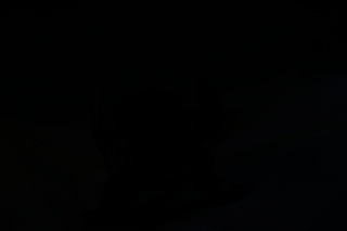 イメージ 10