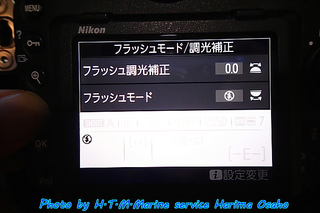 イメージ 5