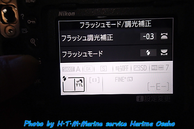 イメージ 6
