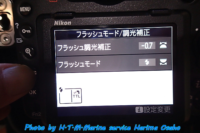 イメージ 7