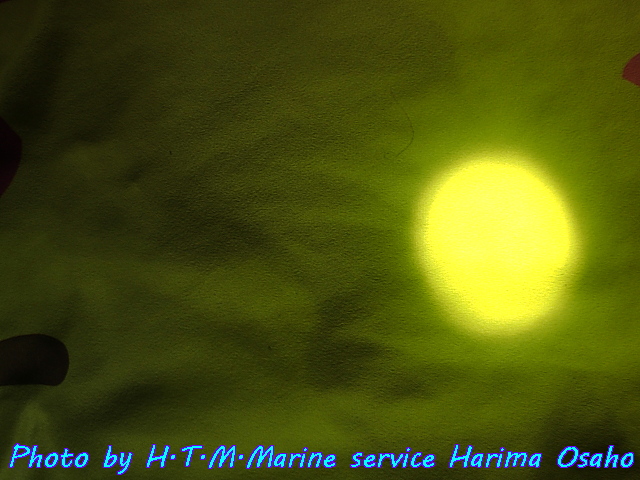 イメージ 6