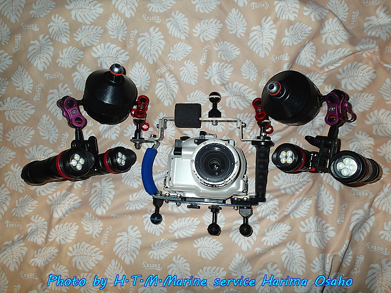 f:id:HTMMarine:20191008203706j:plain