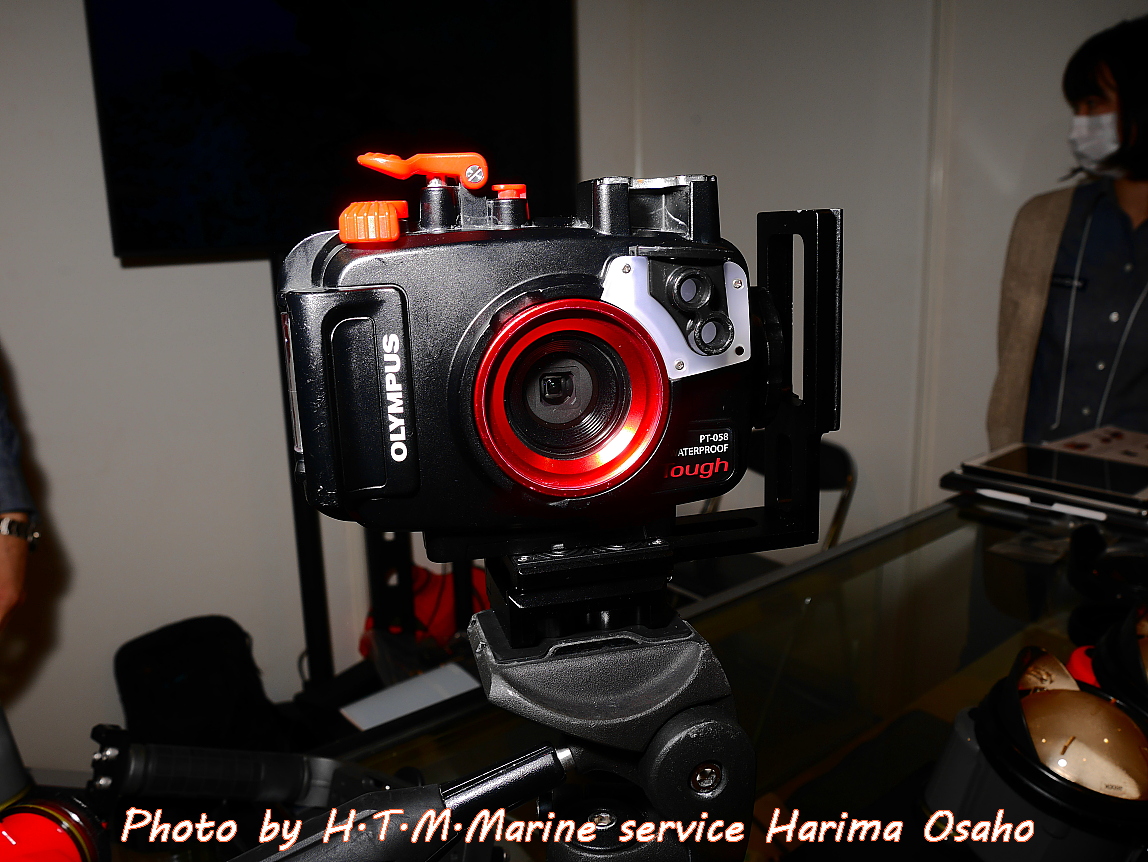 f:id:HTMMarine:20200131104646j:plain f:id:HTMMarine:20200131104646j:plain