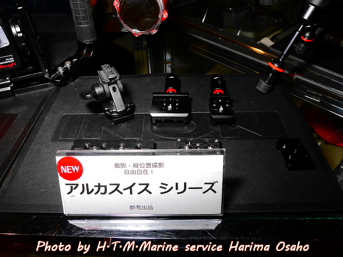 f:id:HTMMarine:20200131104844j:plain f:id:HTMMarine:20200131104844j:plain