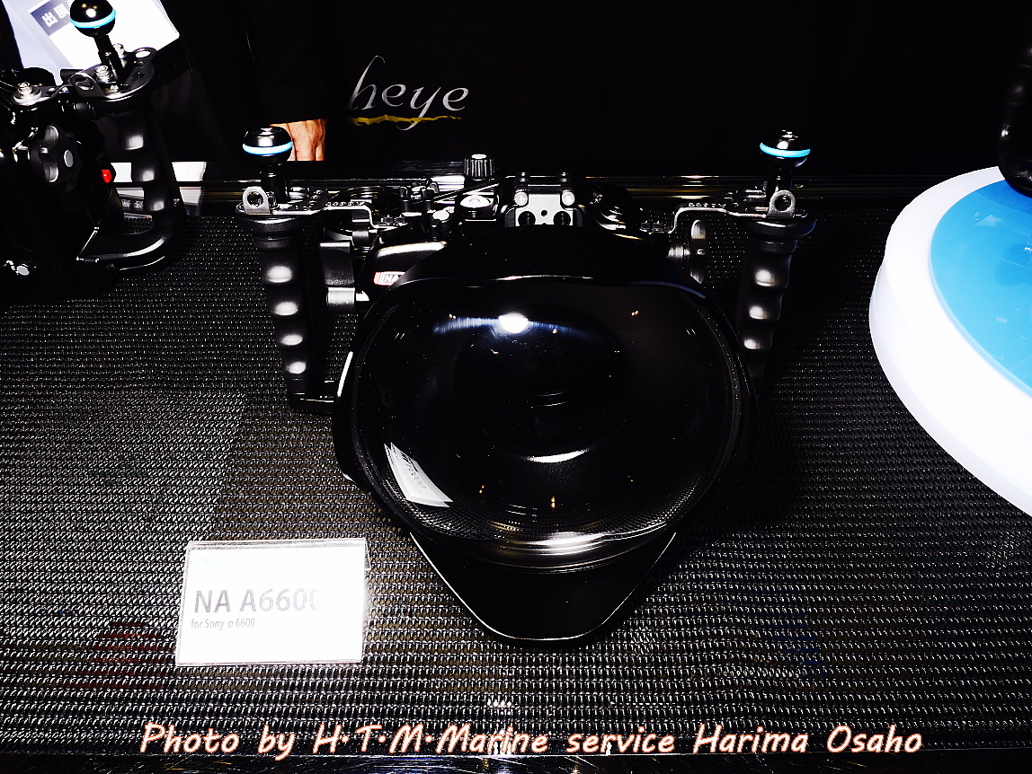 f:id:HTMMarine:20200403222911j:plain
