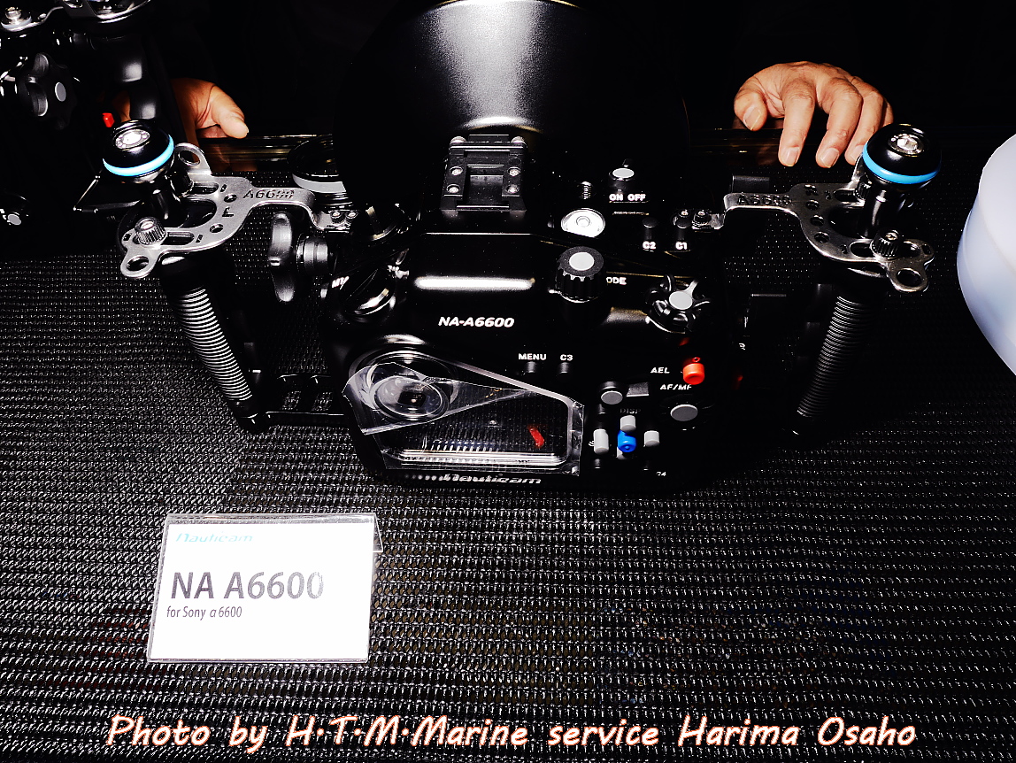 f:id:HTMMarine:20200403222934j:plain