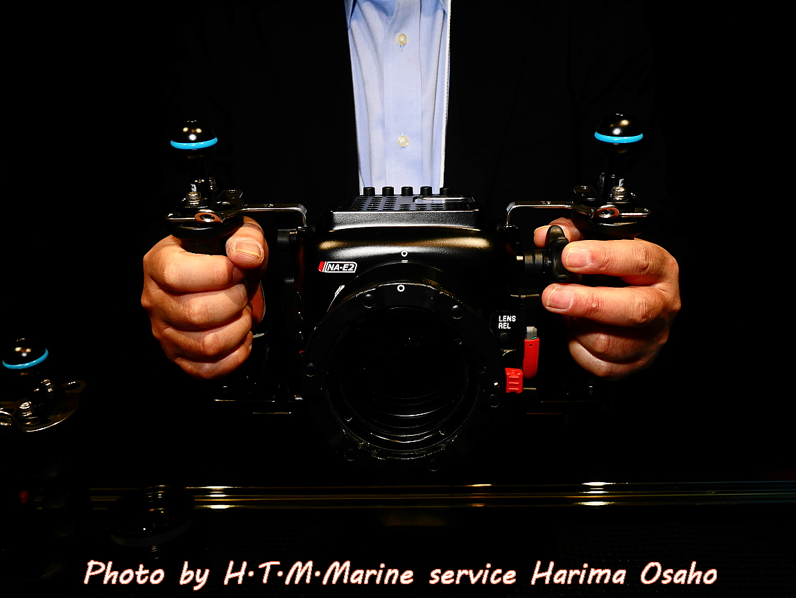 f:id:HTMMarine:20200403223233j:plain