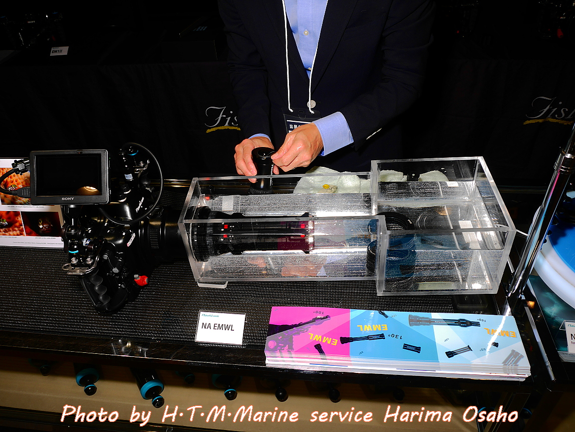 f:id:HTMMarine:20200411214017j:plain f:id:HTMMarine:20200411214017j:plain