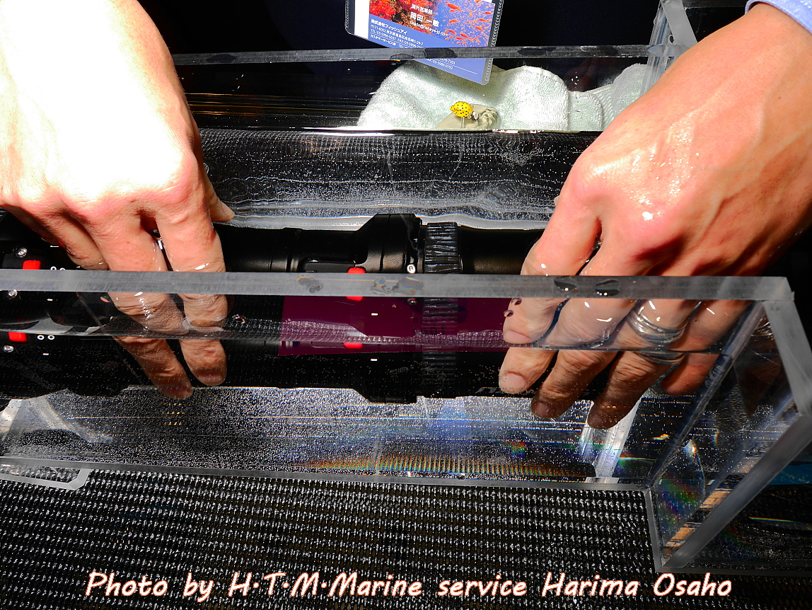 f:id:HTMMarine:20200411214141j:plain f:id:HTMMarine:20200411214141j:plain