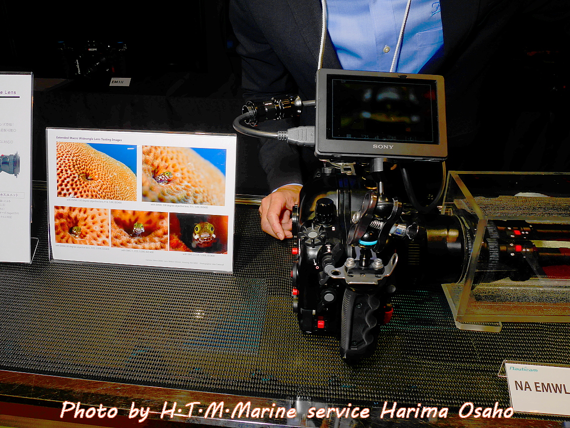 f:id:HTMMarine:20200411214209j:plain f:id:HTMMarine:20200411214209j:plain