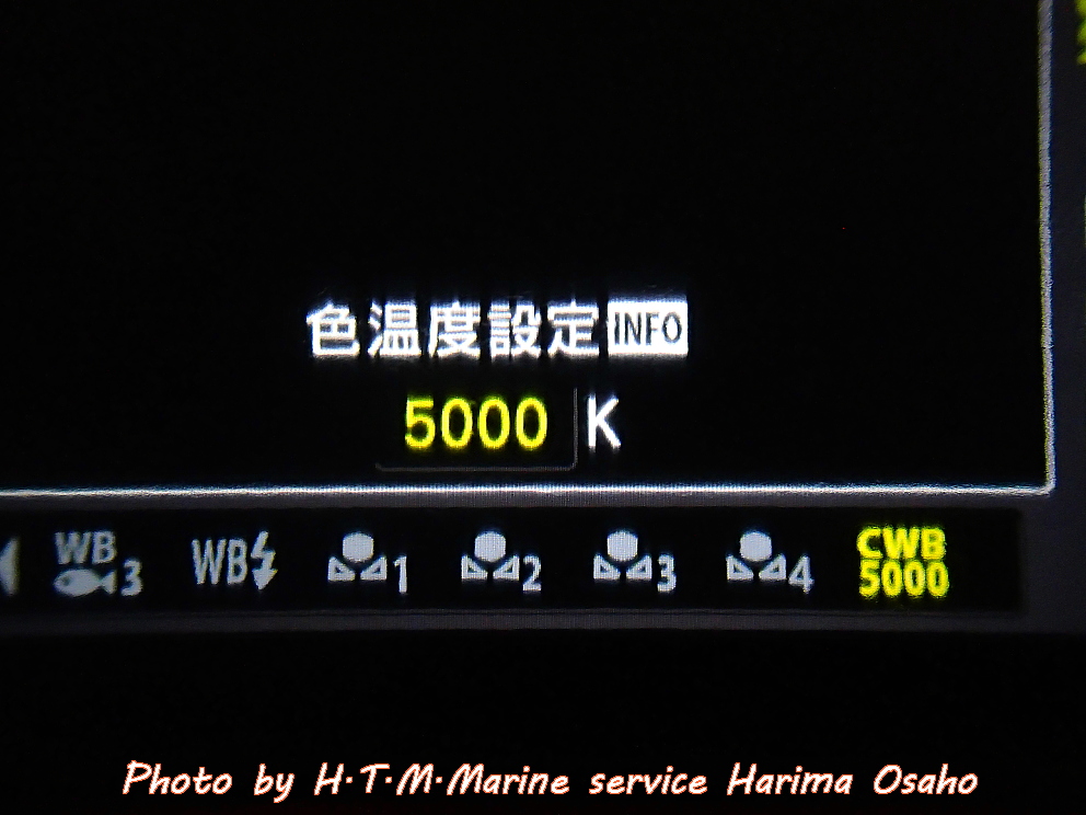 f:id:HTMMarine:20200505013714j:plain