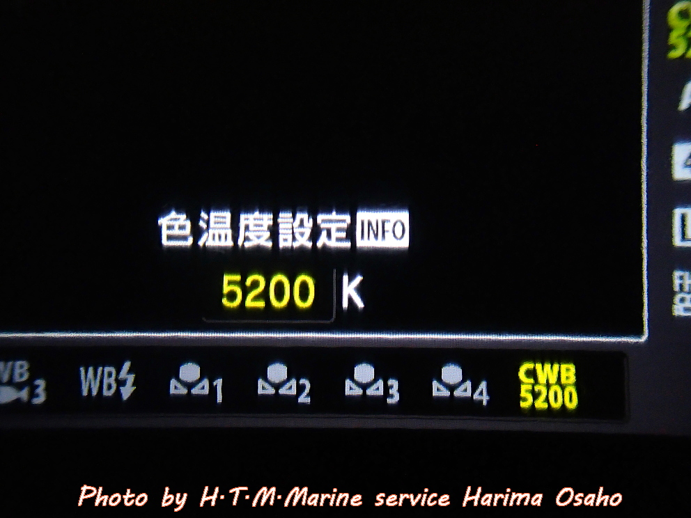f:id:HTMMarine:20200505013941j:plain