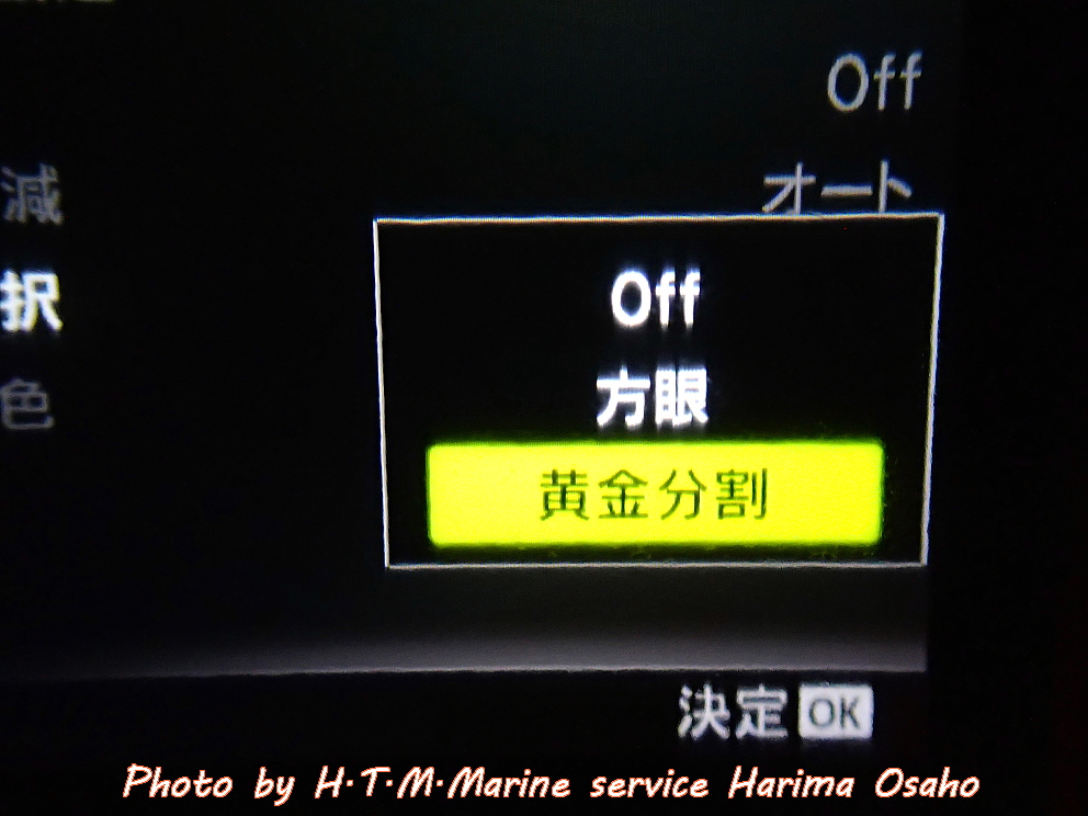 f:id:HTMMarine:20200513001159j:plain
