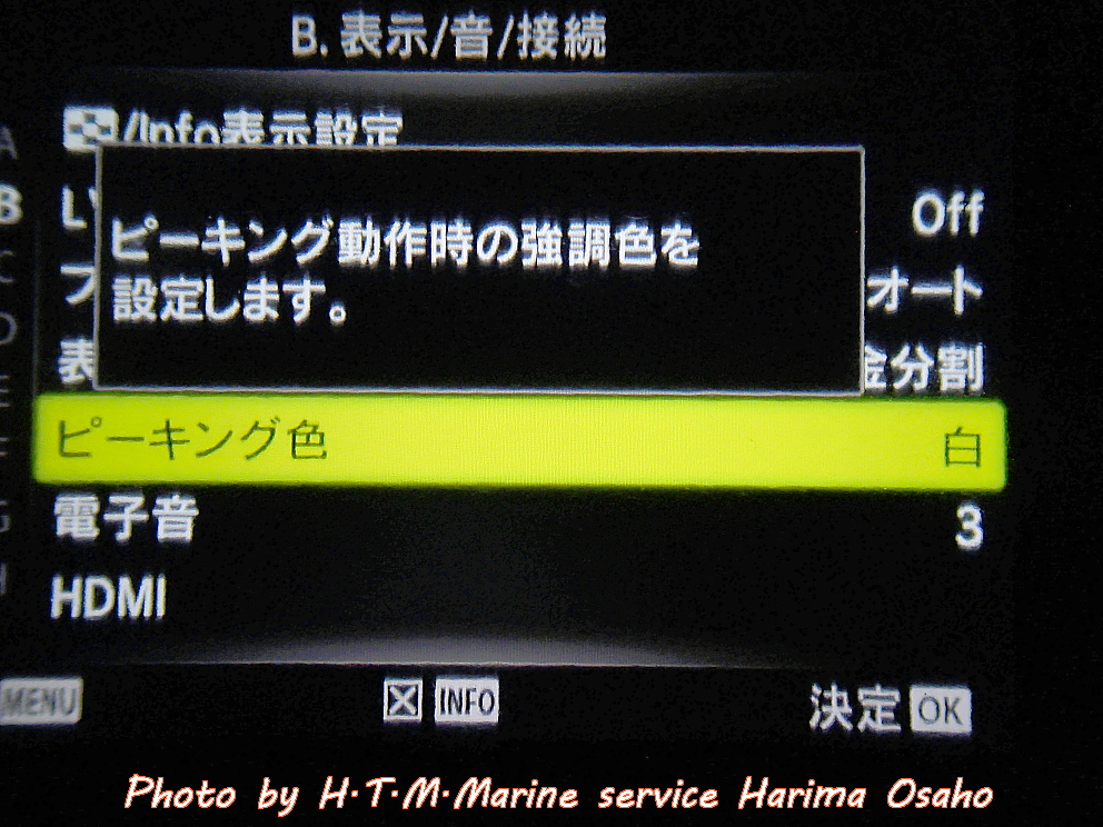 f:id:HTMMarine:20200513001410j:plain