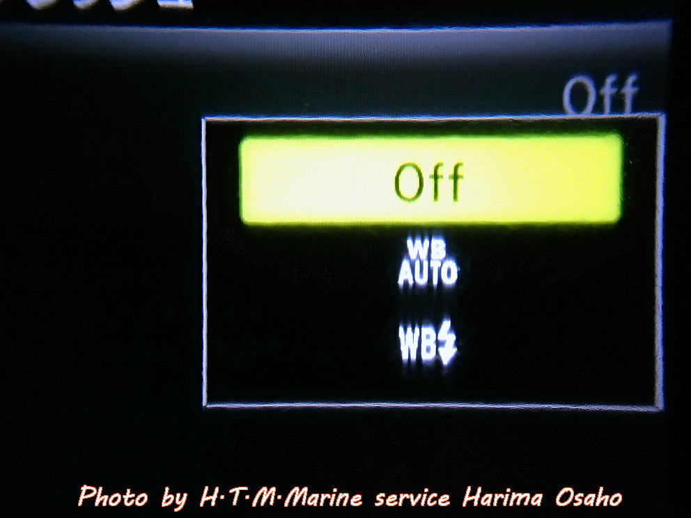 f:id:HTMMarine:20200520150937j:plain