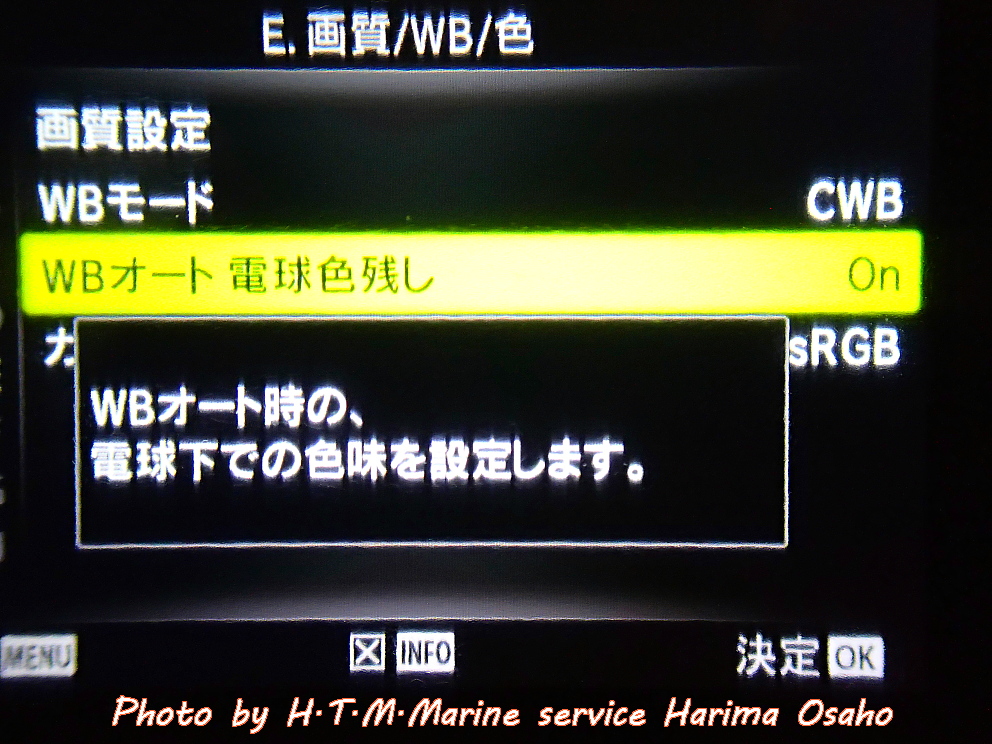 f:id:HTMMarine:20200520151058j:plain