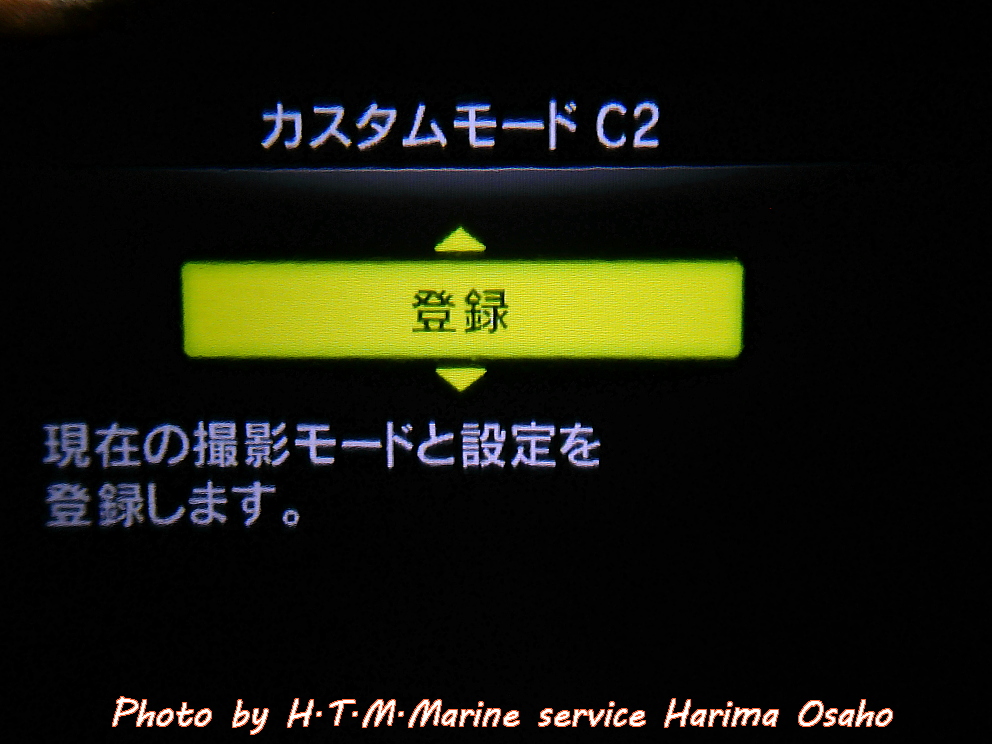 f:id:HTMMarine:20200524115925j:plain