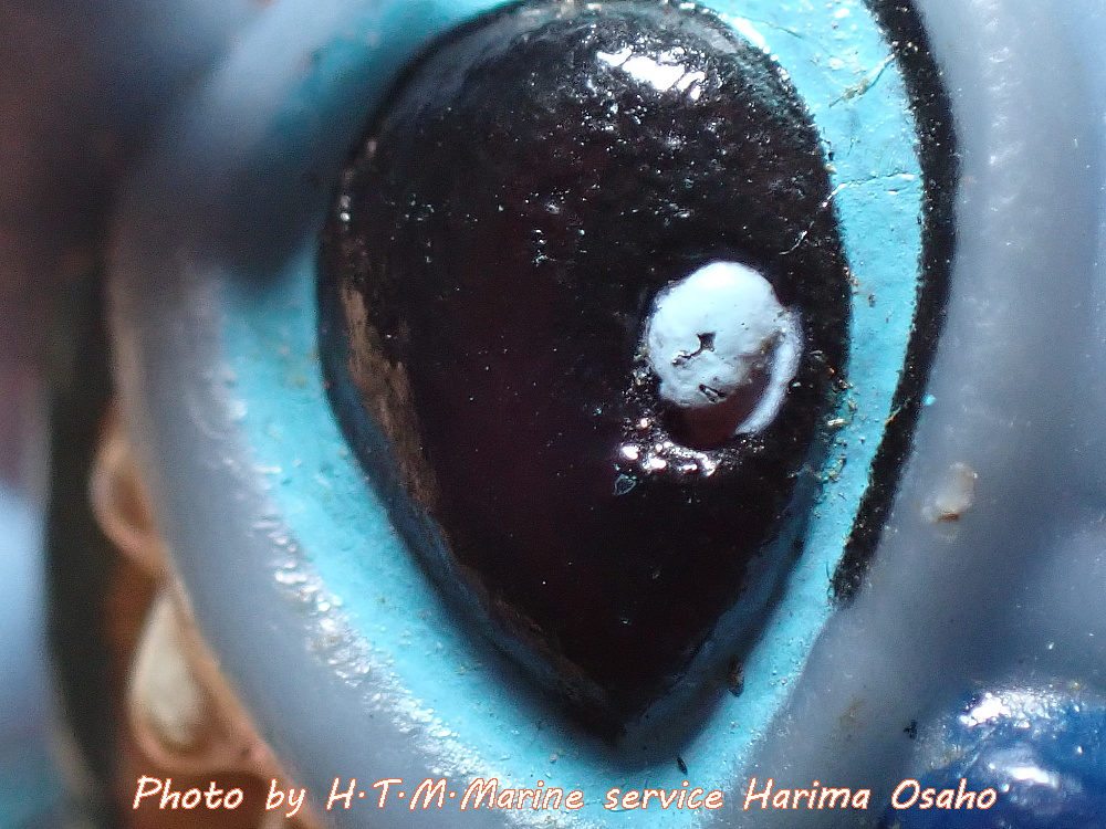 f:id:HTMMarine:20200607235242j:plain