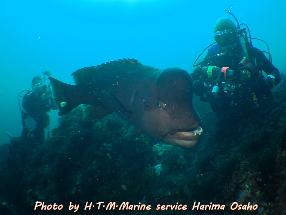 f:id:HTMMarine:20200720224055j:plain f:id:HTMMarine:20200720224055j:plain