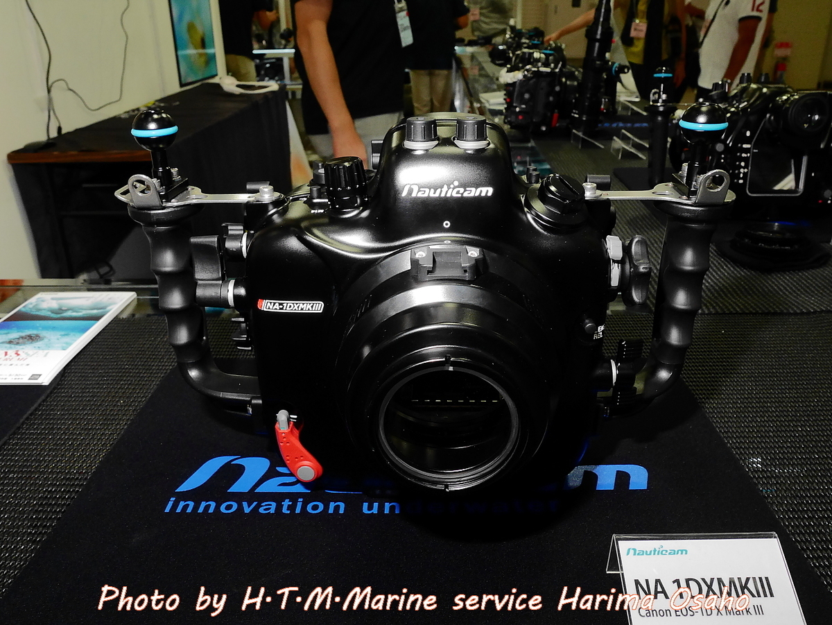 f:id:HTMMarine:20200822220855j:plain f:id:HTMMarine:20200822220855j:plain