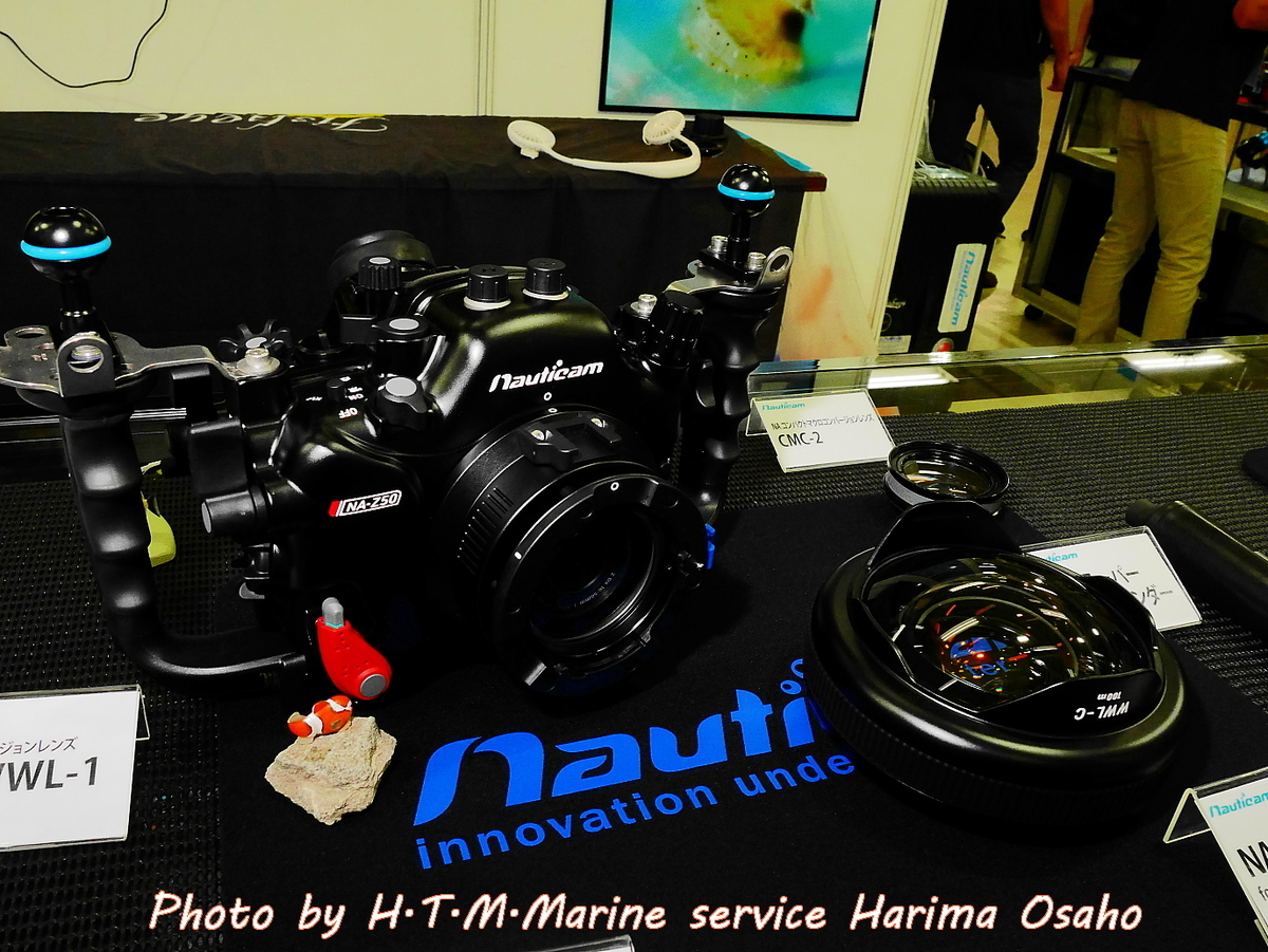f:id:HTMMarine:20200822220915j:plain f:id:HTMMarine:20200822220915j:plain