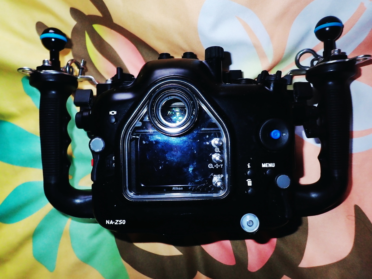 f:id:HTMMarine:20210327152138j:plain