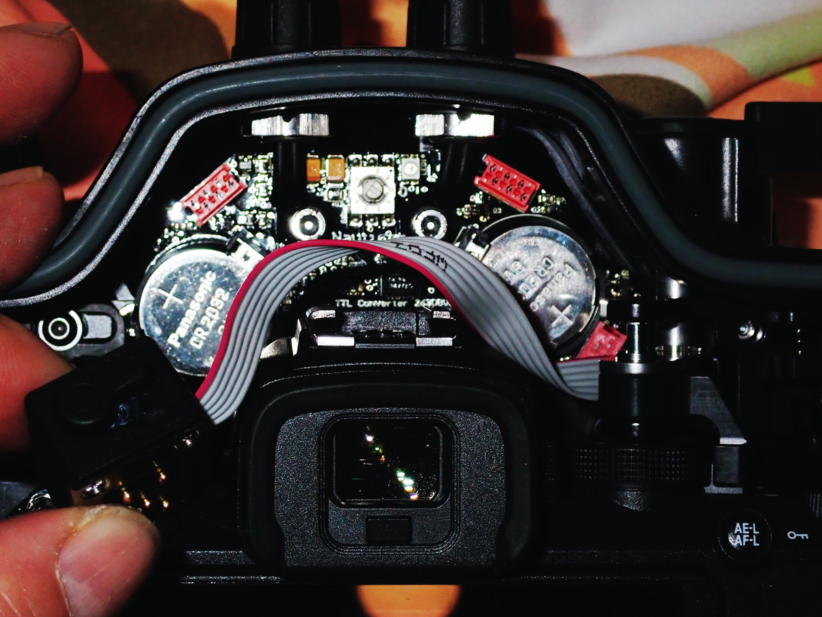 f:id:HTMMarine:20210327152251j:plain