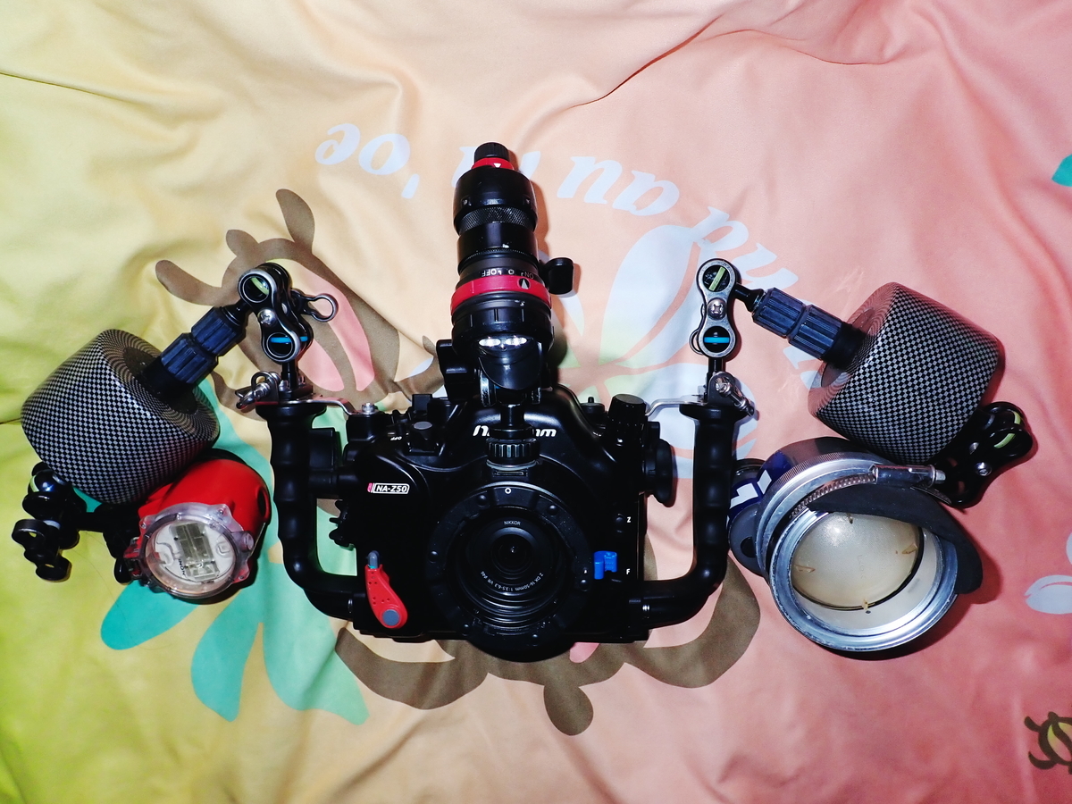 f:id:HTMMarine:20210327152327j:plain